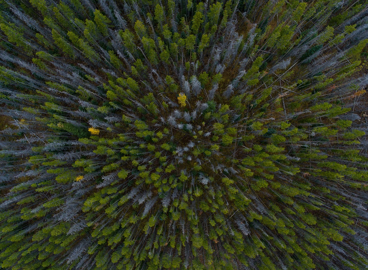 How Drones are Revolutionizing Reconnaissance Missions